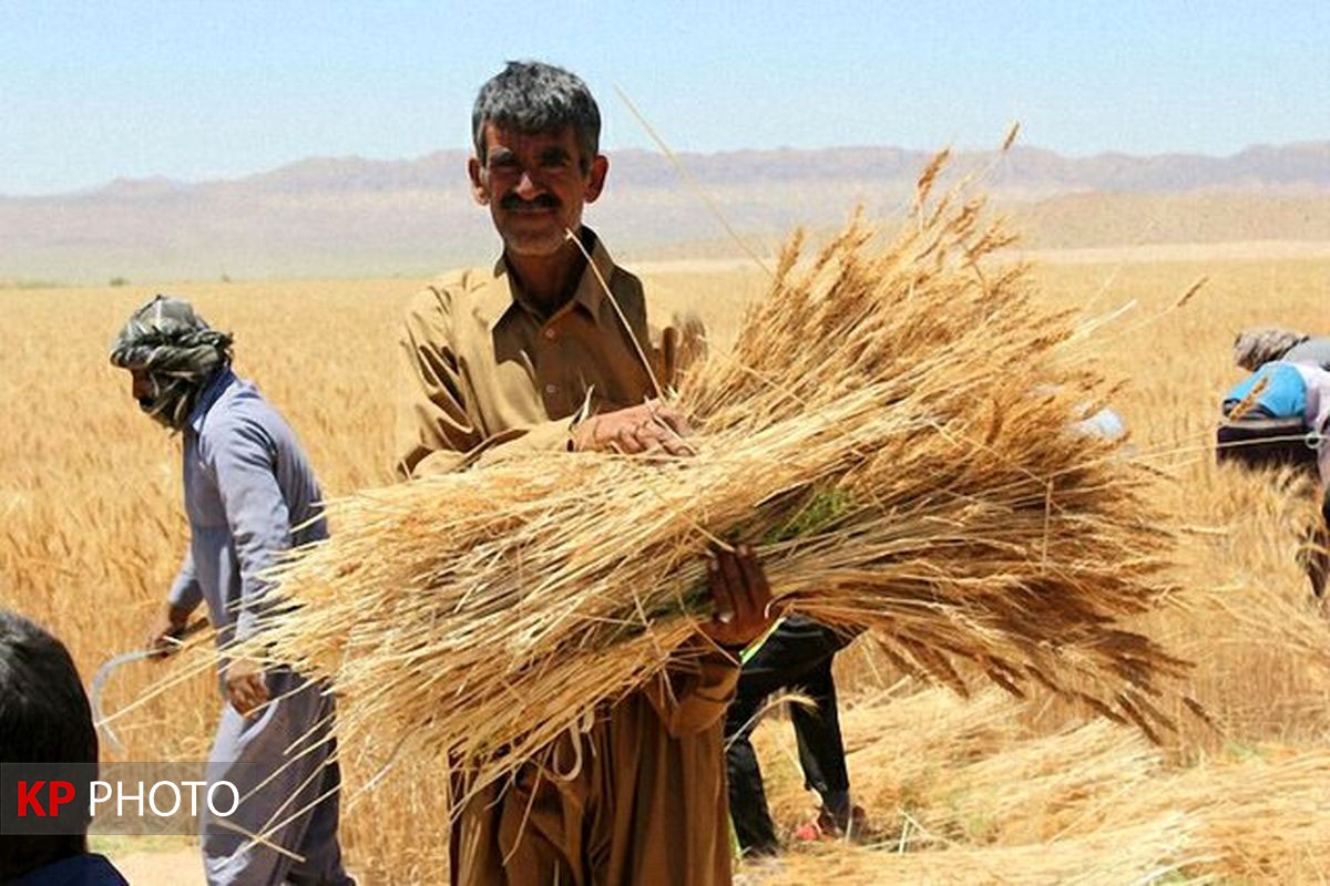 وجود دلالان بخش کشاورزی آذربایجان غربی صدای استاندار را درآورد