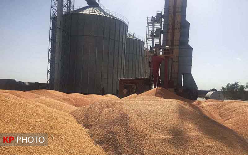 آذربایجان غربی ظرفیت ذخیره سازی بیش از یک میلیون تن گندم دارد