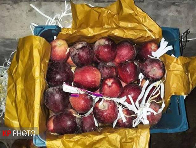 روزشمار پایانی سیب آذربایجان غربی؛ تسهیل صادرات چه شد؟!