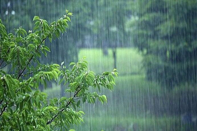 افزایش ۱۲ درصدی  بارندگی در کردستان