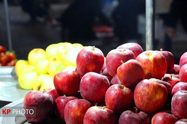 رئیس کل دادگستری آذربایجان غربی: قیمت سیب  کنترل شود