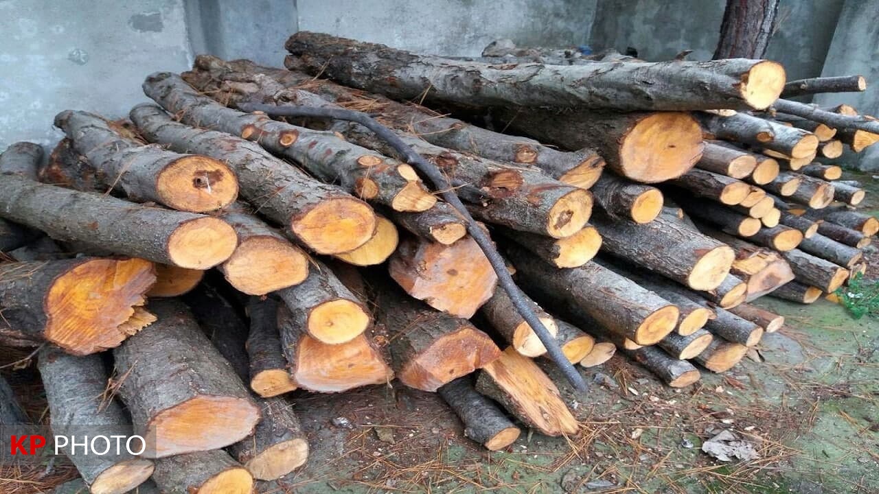 کشف ٧ تن چوب قاچاق در مهاباد