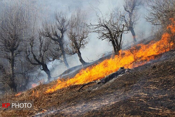 وقوع ۵۰ مورد آتش سوزی در جنگلهای آذربایجان غربی