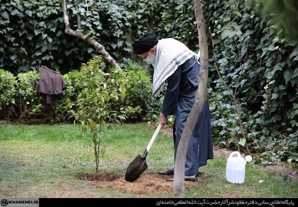 توسعه انرژی هسته‌ای باید جدی گرفته شود/ تخریب محیط‌زیست تخریب منافع ملی است