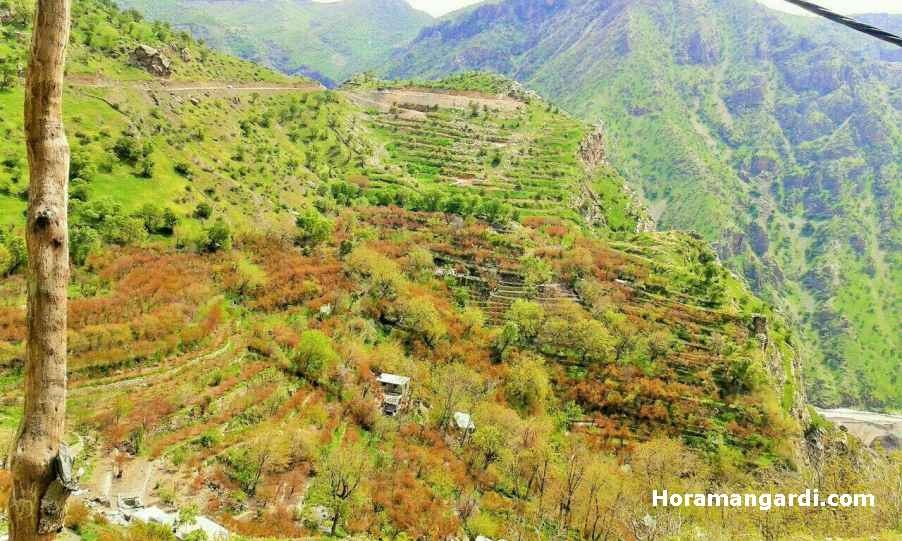 روستای شرکان گنجینه ای از تاریخ کهن هورامان / فردین رحیمی