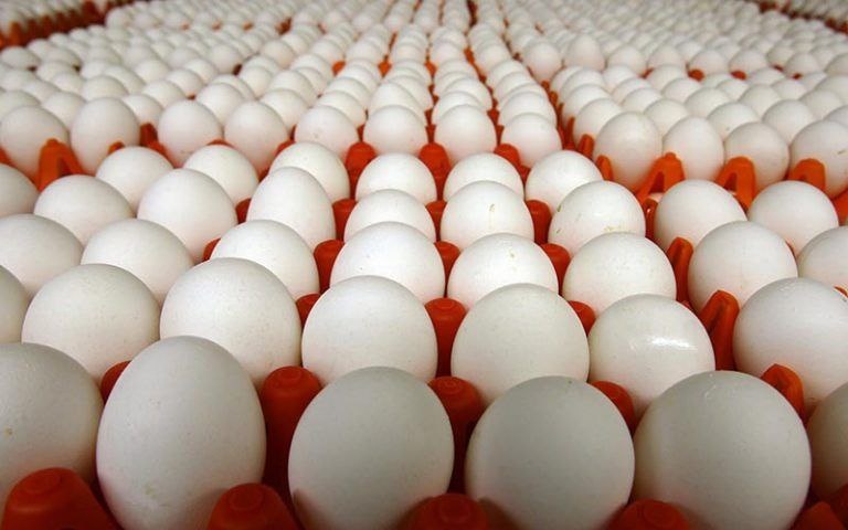 کشف 65 هزار تخم مرغ قاچاق در روانسر