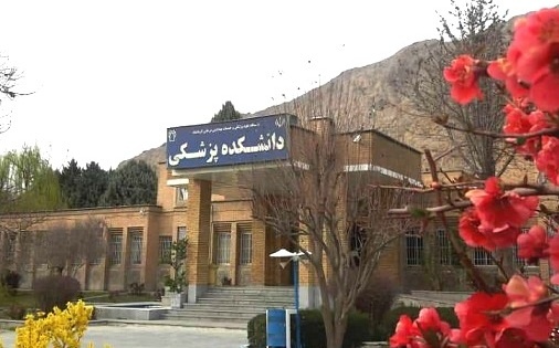 600 دانشجوی خارجی در دانشگاه علوم پزشکی کرمانشاه تحصیل می کنند