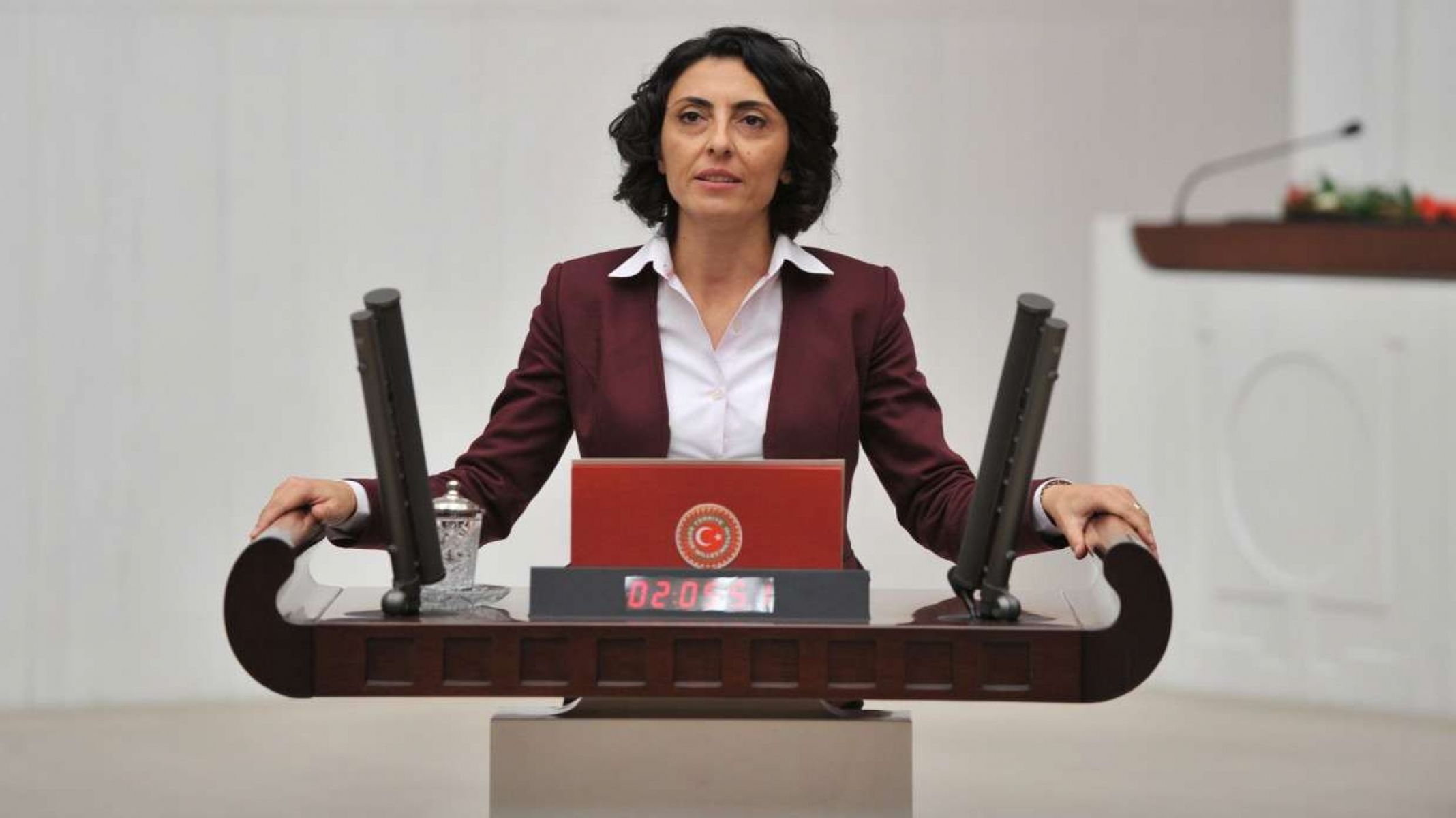 نماینده CHP با خواندن آواز کُردی در صحن مجلس به ممنوعیت کنسرت های کردی اعتراض کرد
