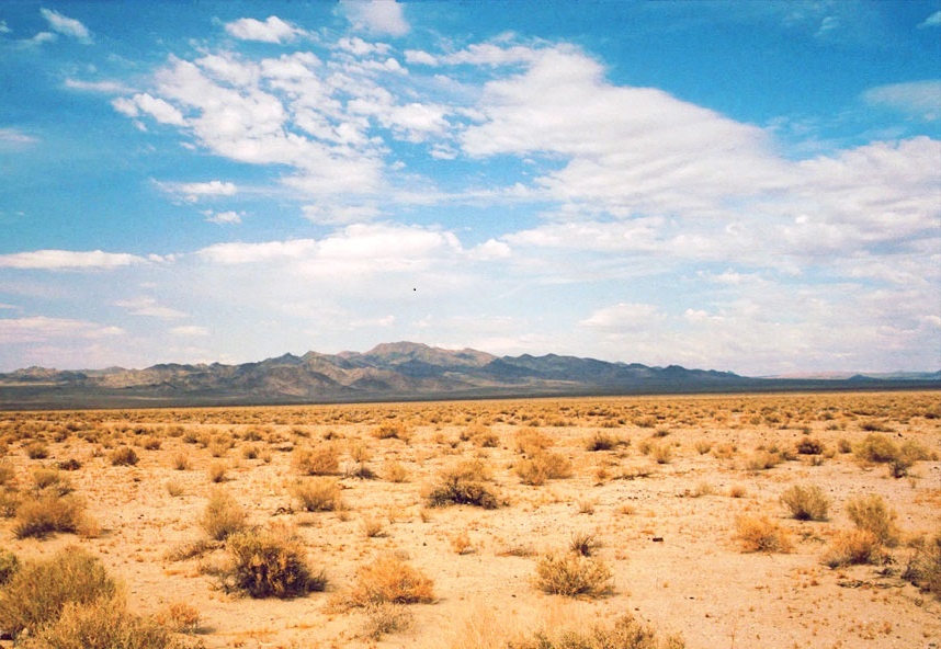 بۆ رێگری کردن لە بیابانبوون هەرێمی کوردستان کەڵک لە ئەزموونی چین وەردەگرێت