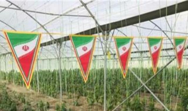 122 میلیارد تومان پروژه بخش کشاورزی در کردستان افتتاح می شود