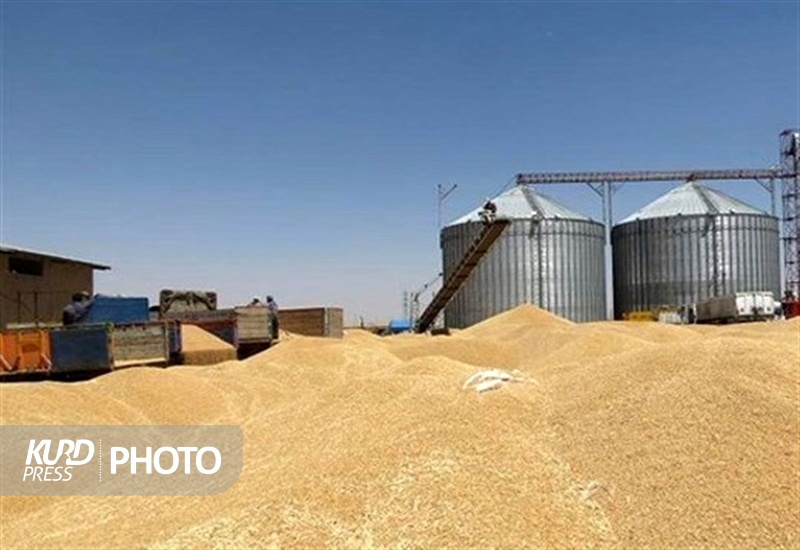 ظرفیت سیلوهای ذخیره سازی گندم در قروه به 790 هزار تن می رسد