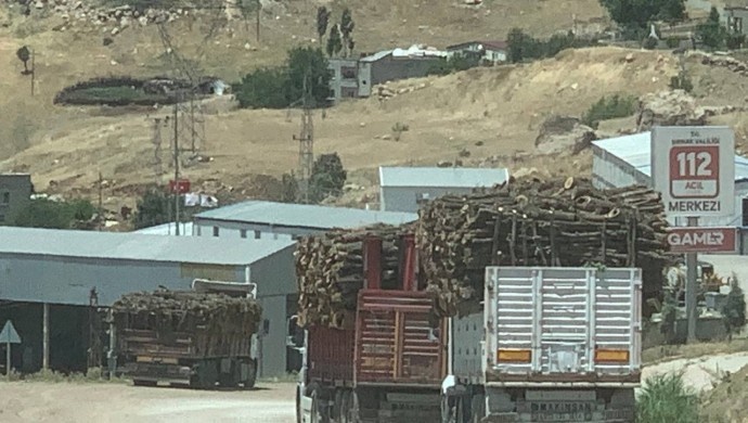 عملیات جنگل زدایی در کردستان ترکیه گسترش یافته است