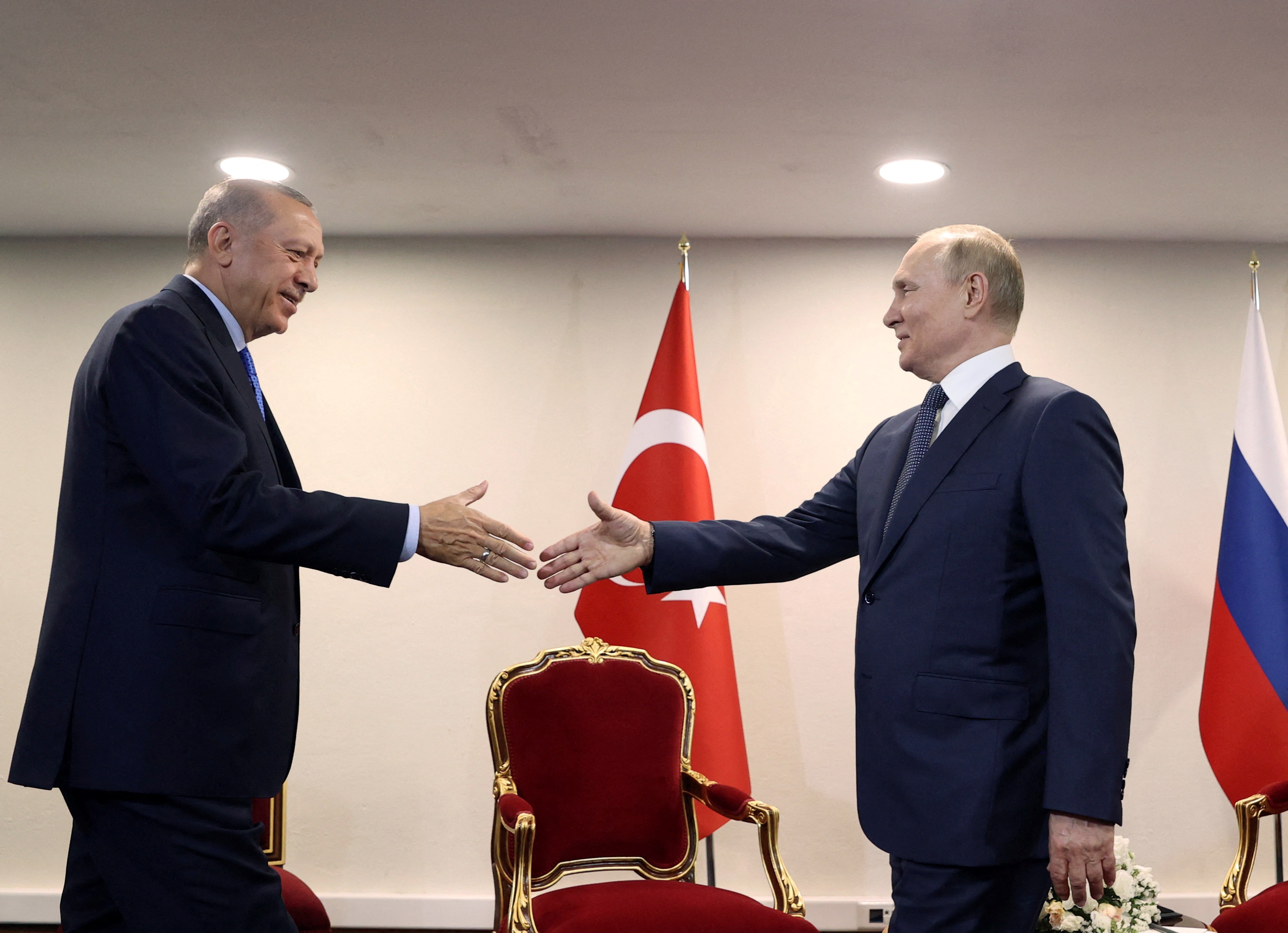 اردوغان برای دیدار با پوتین عازم روسیه می شود