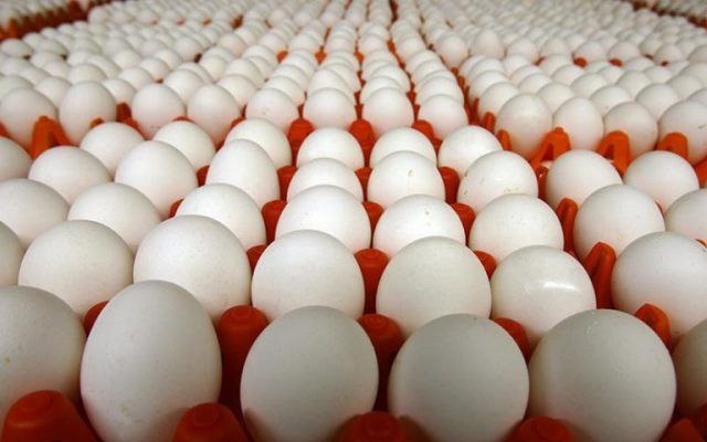 کشف بیش از 31 هزار تخم مرغ غیربهداشتی در کنگاور