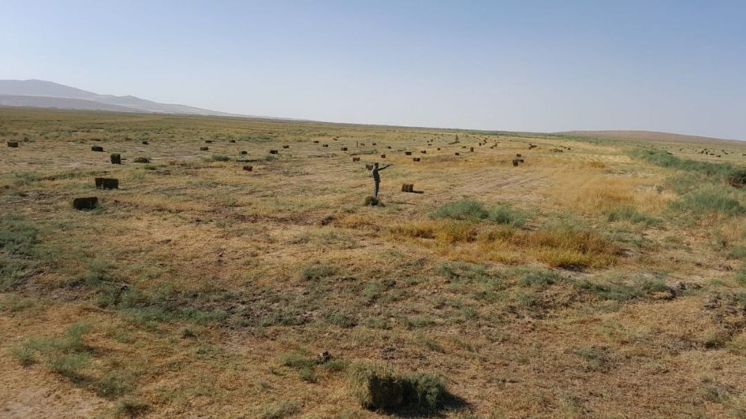 برداشت غیرقانونی ١٥ هکتار پوشش گیاهی پارک ملی دریاچه ارومیه