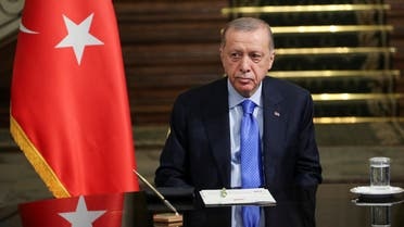 Erdogan says Turkey not looking to seize Syrian territory