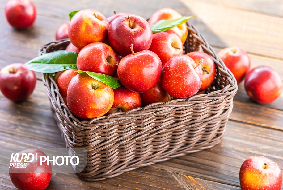 پیش بینی تولید ۱.۱ میلیون تن سیب درختی در آذربایجان غربی
