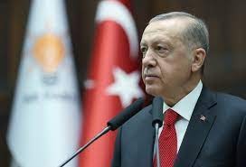 Turkish army will enter Syria after airstrikes: Erdogan