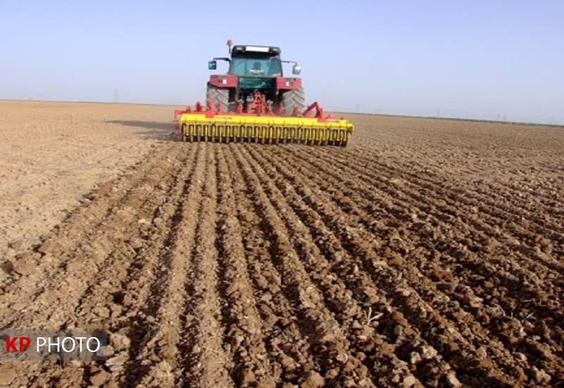 ۶۵۰ هزار هکتار از اراضی کشاورزی کردستان زیرکشت پاییزه رفت