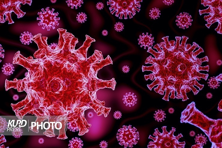 ۹۸.۳ درصد در آذربایجان غربی دز چهارم نزدند/ تنوع ویروس کرونا در موج هشتم