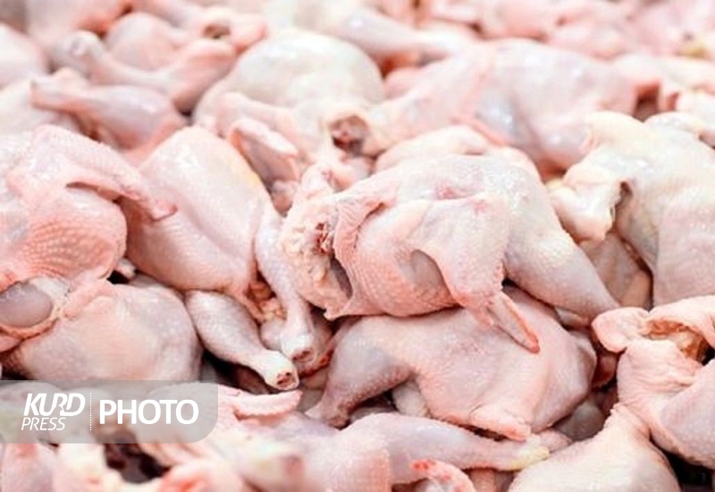 توزیع روزانه 160 تن گوشت مرغ در کردستان