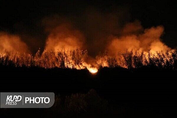 تداوم آتش سوزی های مشکوک در تالاب «یوسف کند» مهاباد
