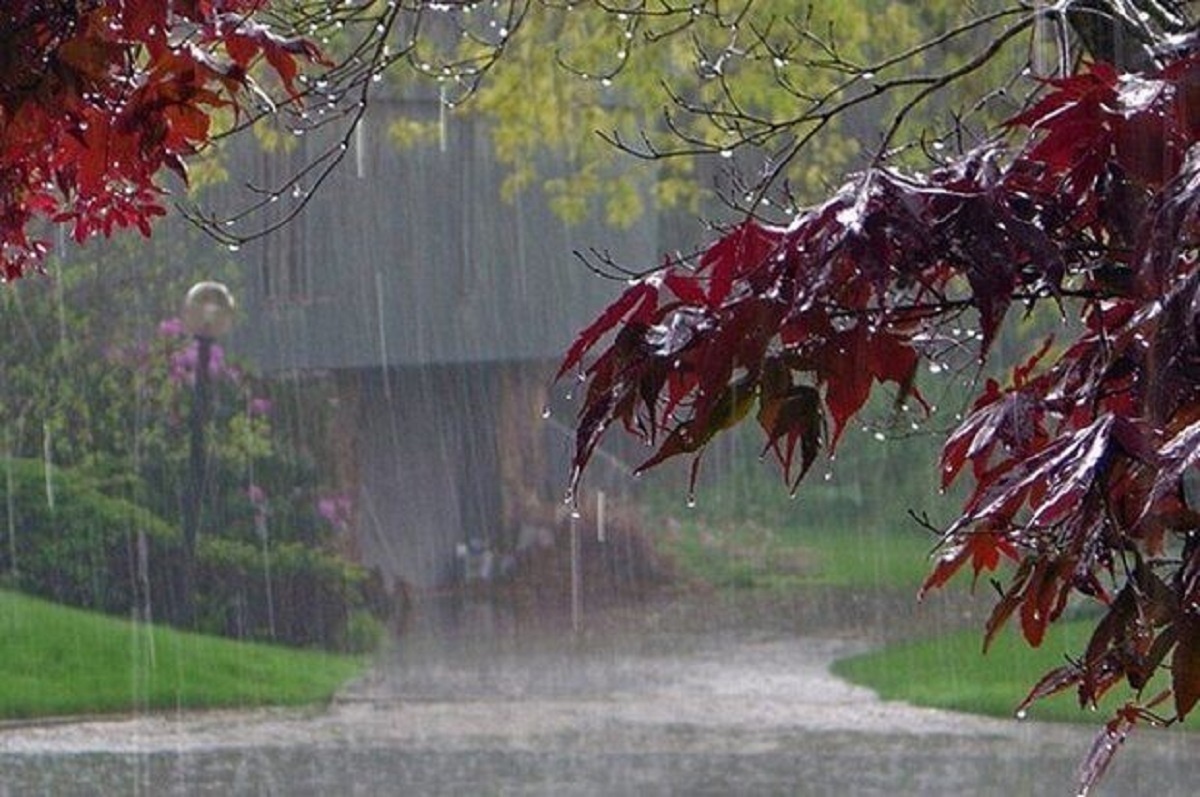 ثبت ۶۲ میلی متر بارندگی در چند روز اخیر در کردستان/تداوم بارش‌ها تا صبح جمعه