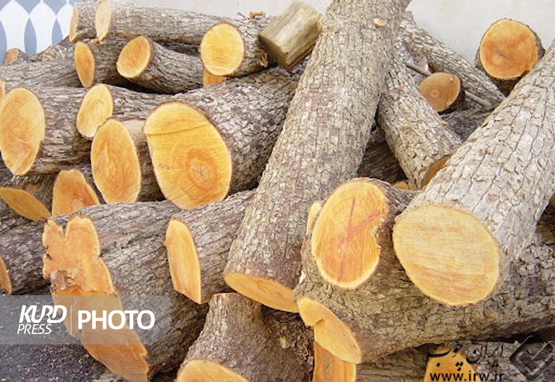 دستگیری دو قاچاقچی چوب در کامیاران