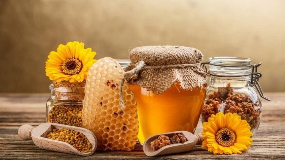 آذربایجان غربی بزرگترین تولیدکننده عسل ایران