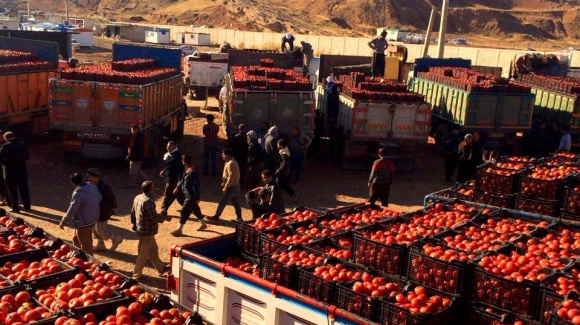 ترافیک کامیونهای گوجه در مرزهای صادراتی کرمانشاه/ارسال این حجم بالا از گوجه به زیان کشاورزان و تجار است