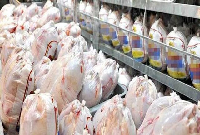 قیمت مرغ تا ۱۰ روز آینده تعدیل می‌شود
