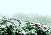 نخستین برف پاییزی مهاباد