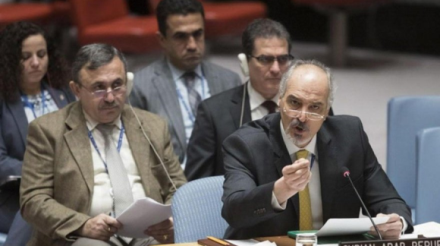 Representative denies there is a Kurdish question in Syria Representative denies there is a Kurdish question in Syria