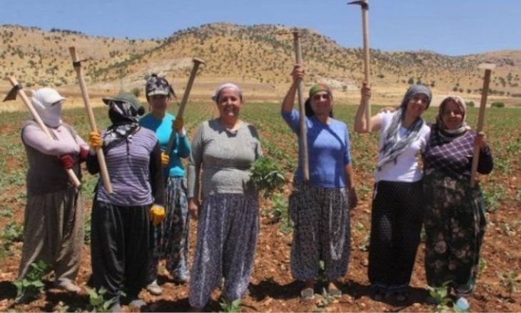HDP mayor faces terrorism charges over ‘planting green beans’