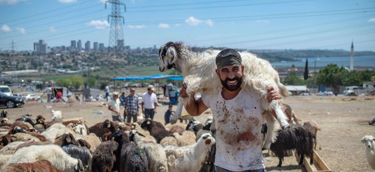 People in Hakkari sacrifice lambs, pray for coronavirus cure