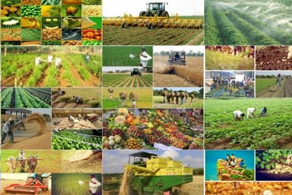 بهره برداری از ١٣٧ طرح بخش کشاورزی در آذربایجان غربی