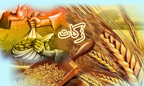 ۶۷۶ میلیارد ریال زکات در کردستان جمع آوری شد