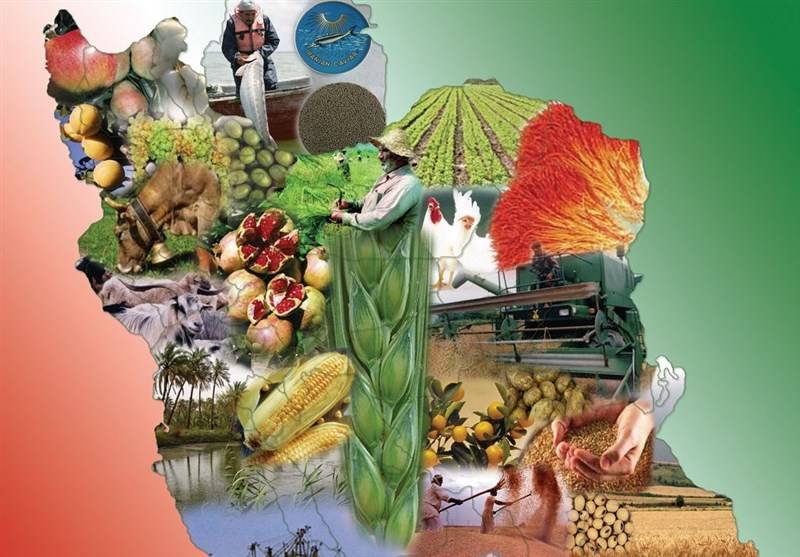 امنیت غذایی و بحران‌هایش؛ با نگاه به استان های کُردنشین / یاسر بابایی