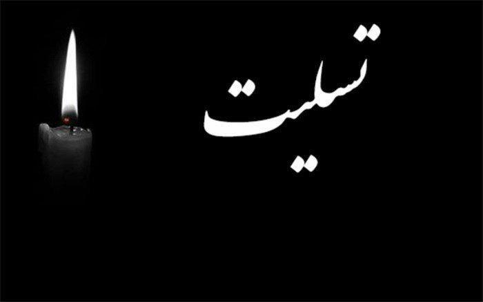 ترکیه حادثه بندر شهید رجایی را تسلیت گفت