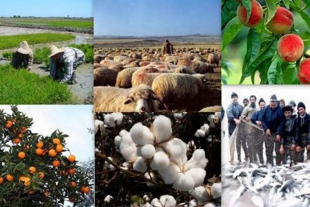 طرح تثبیت جمعیت روستاییان در دهستان «نازلو شمالی» ارومیه اجرا می شود