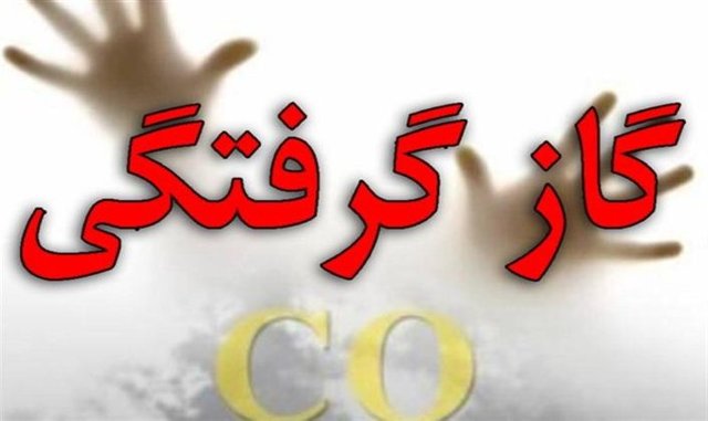 مسمومیت ۷ نفر با گاز مونوکسیدکربن در استان ایلام