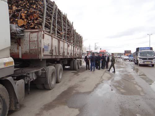 ٥٣ تن چوب قاچاق در مهاباد کشف و ضبط شد