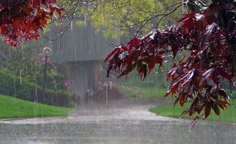 13 بدر بارانی برای کرمانشاه/ احتمال آبگرفتگی در پاوه و اورامانات