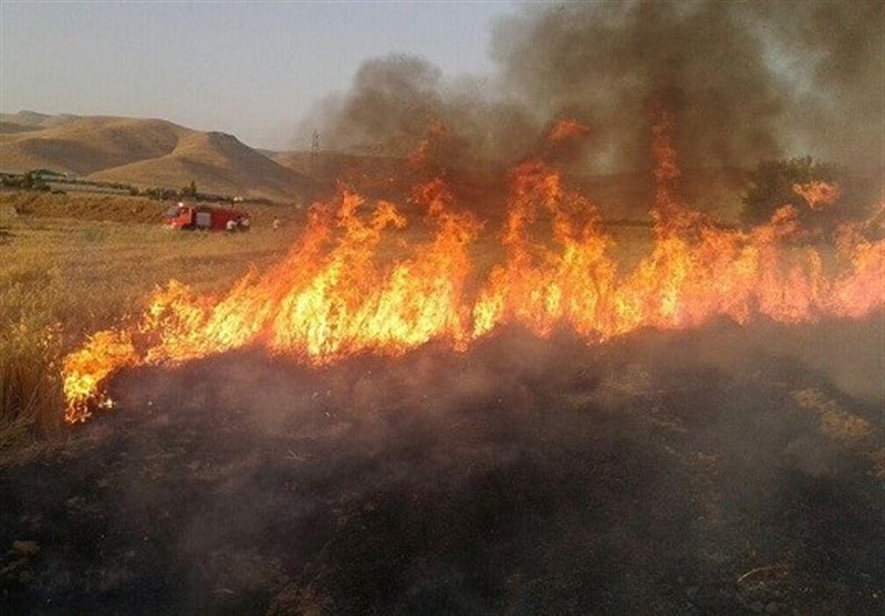 آتش سوزی 30 هکتاری مزارع گندم دهلران به خاطر نقص فنی کمباین