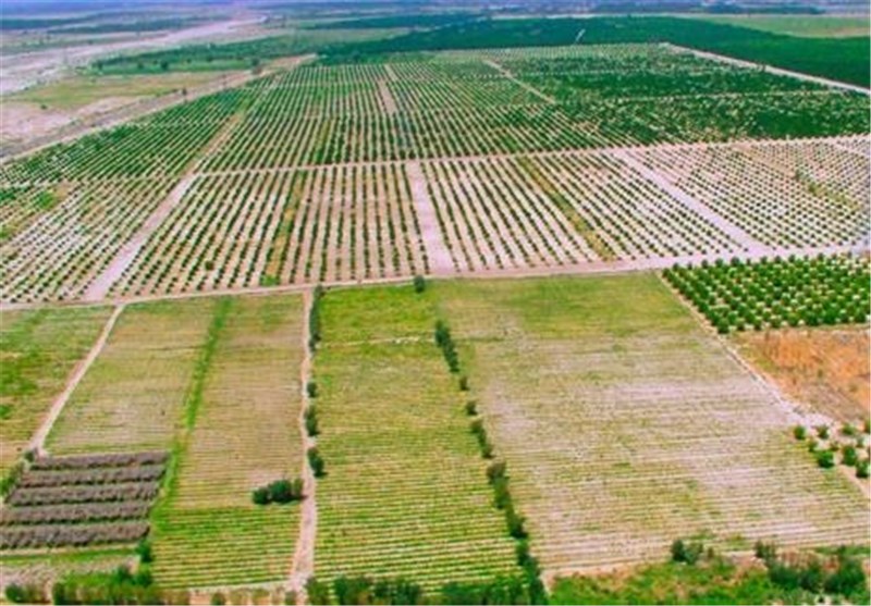 ۶۴ درصد اراضی کشاورزی آذربایجان غربی سند تک برگ دریافت کردند