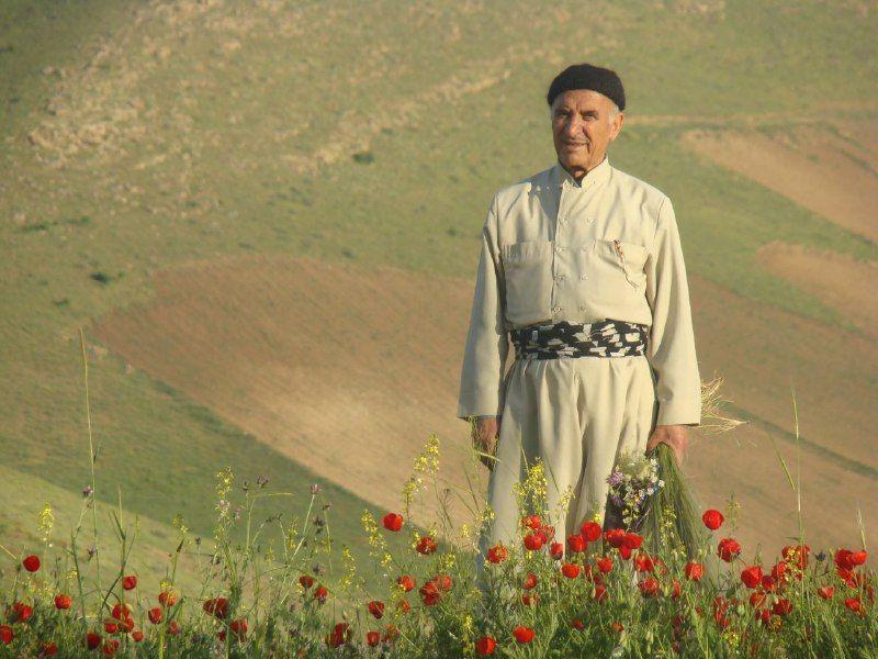 نگاهی به زندگی نامه «مصطفی خرمدل»، قرآن‌پژوه مشهور کرد