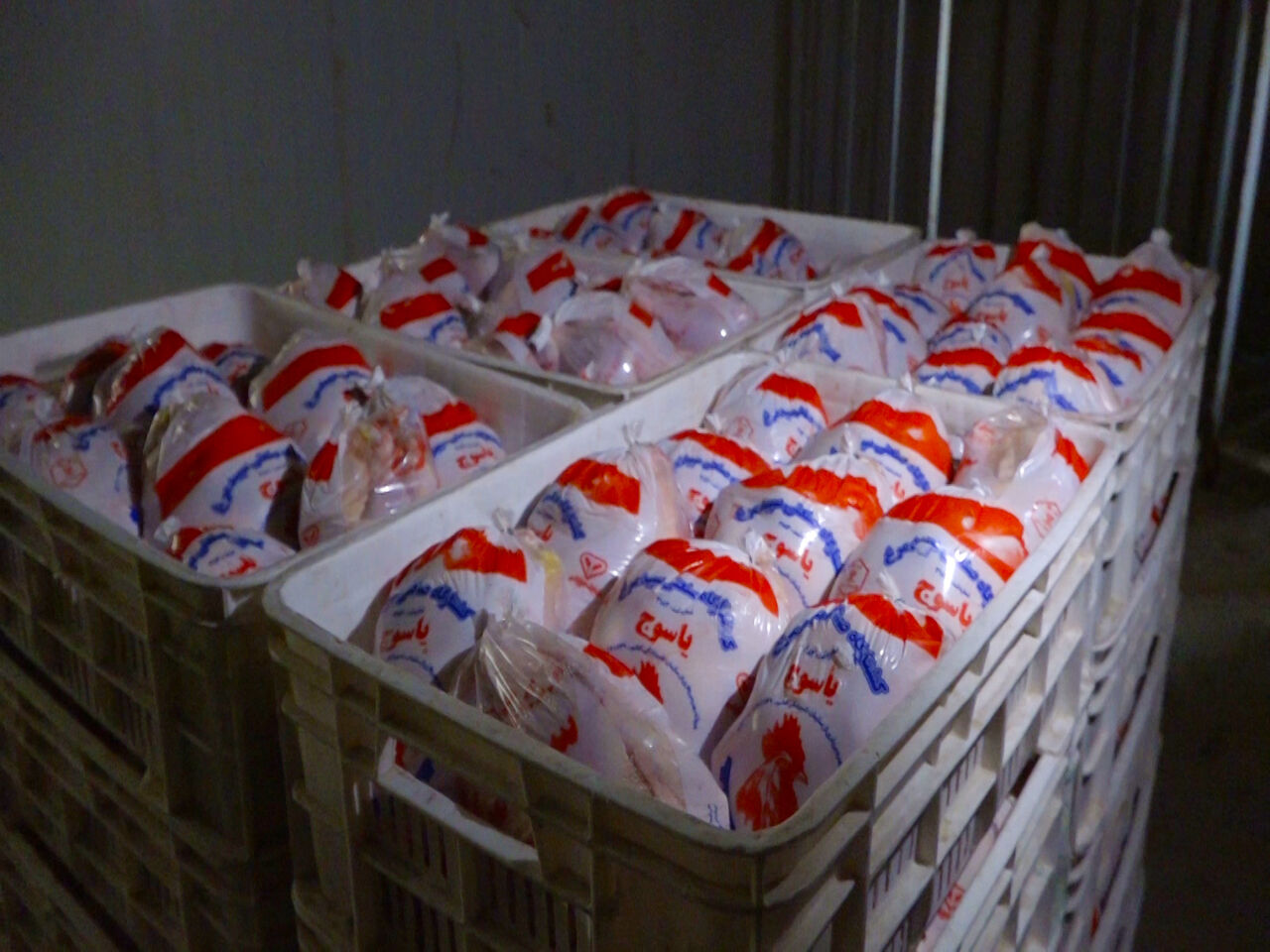 ۵۰ تن مرغ از ایلام به عراق صادر شد