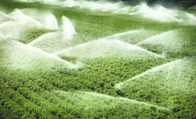 پیشرفت فیزیکی طرح‌های آبیاری آذربایجان غربی به ٧٥ درصد رسید