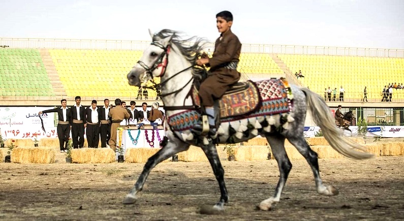 جشنواره اسب کُرد آغازی برای ثبت جهانی آن است