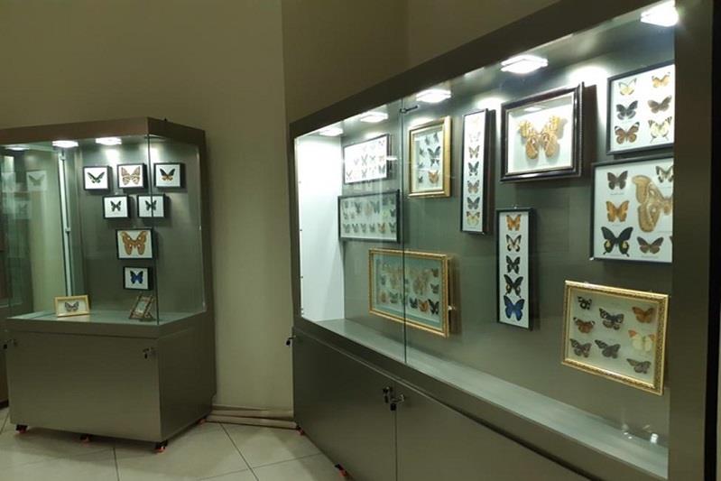 فروش بلیت در 10 موزه آذربایجان غربی الکترونیکی شد